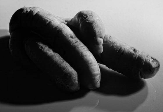 Carrot_fingers
