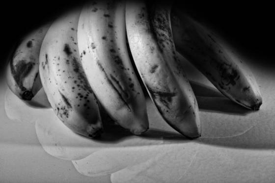 Fruit_fingers