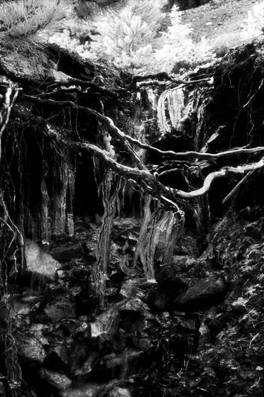 Icicles_in_infrared