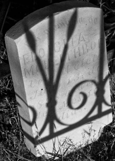 Shadow_of_the_grave