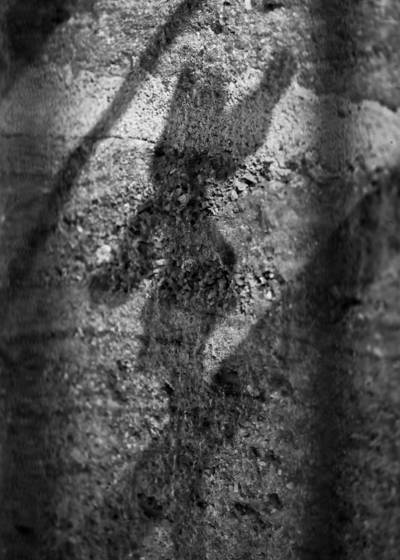 Stone_wall_shadow