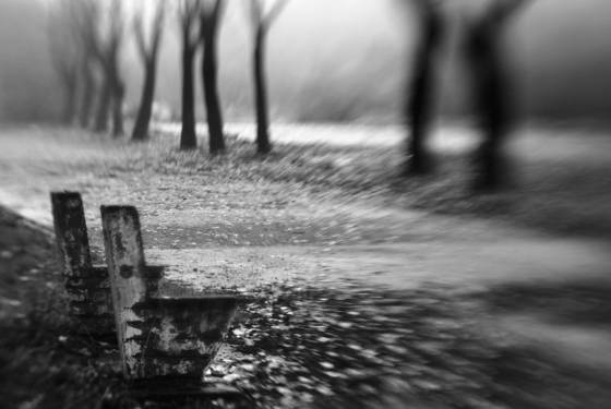 Autumn_nostalgia