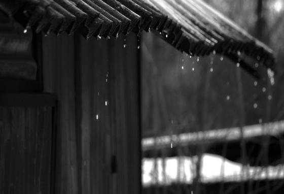 Waiting_for_spring_to_come