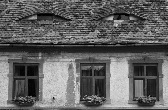Watcher_house