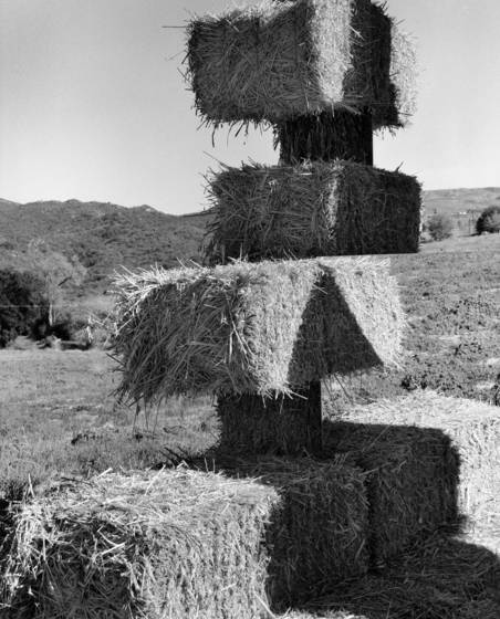 10_untitled