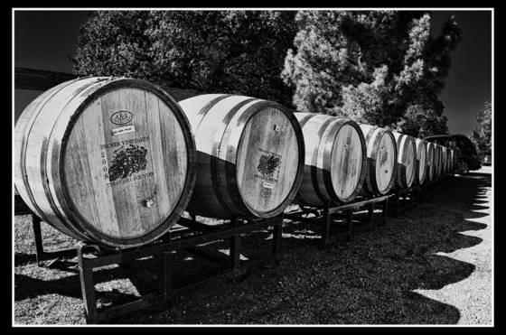 Becker_vineyards