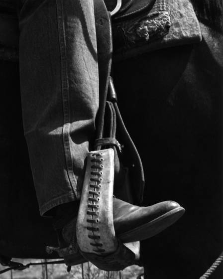 Stirrup
