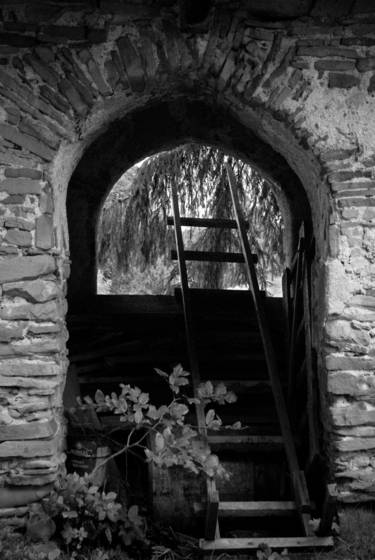 Untitled_10