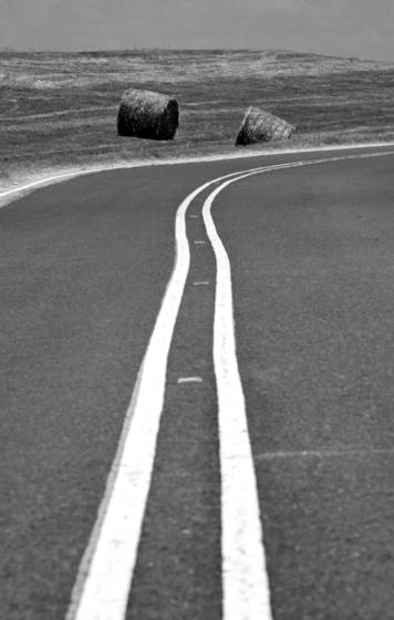 River_road_hay