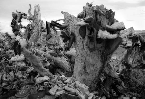 Amboy_shoe_tree