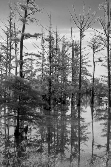 Wolf_lake