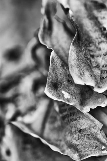 Ashes_number_2