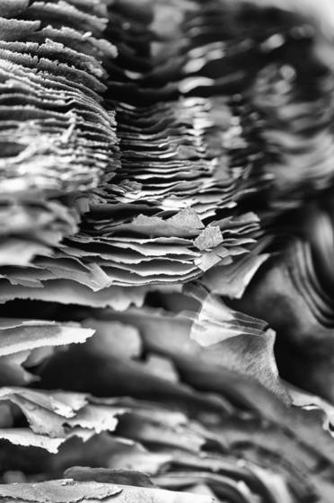 Ashes_number_6
