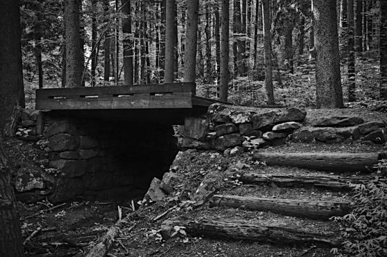 A_bridge_to_cross