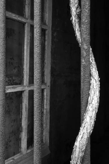 Fort_totten_6779