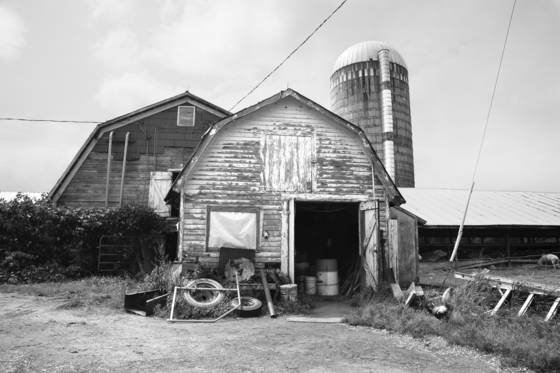 Dairy_farm