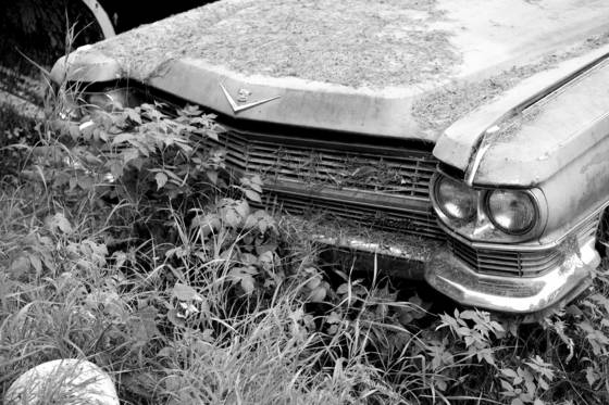 Hay_on_cadillac