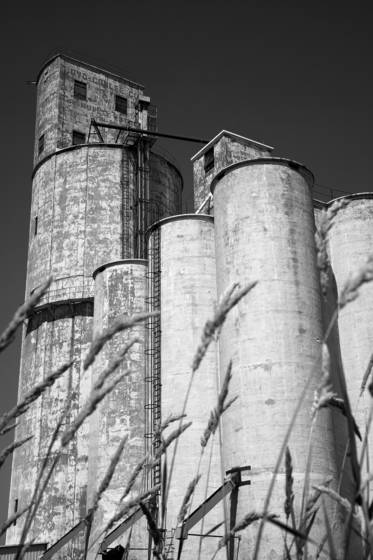 Cashup_grain_elevator_2