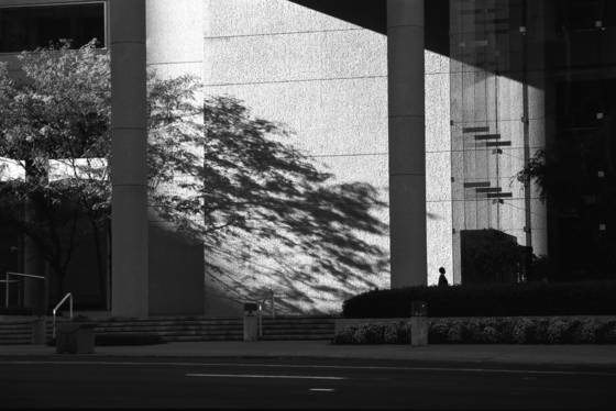 Woman_alone