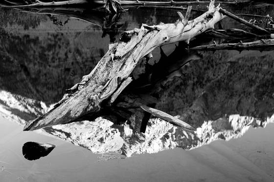 Beaver_pond_reflections_5