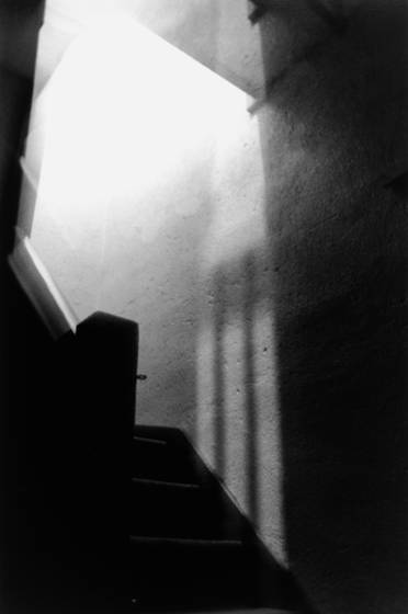 Steps