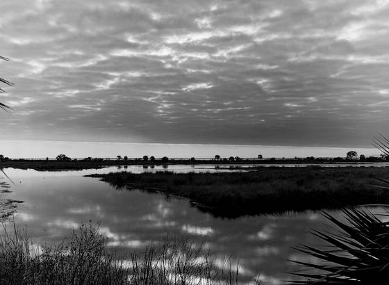 Untitled_1