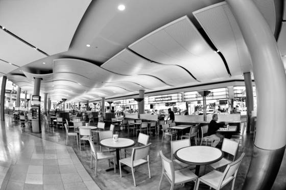 Untitled_11
