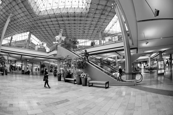 Untitled_3