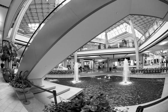 Untitled_4