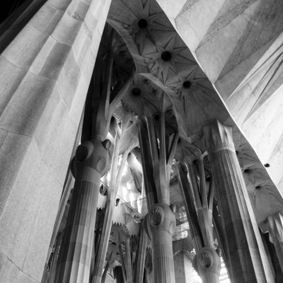 Untitled_9