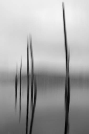 Harbor_ghosts