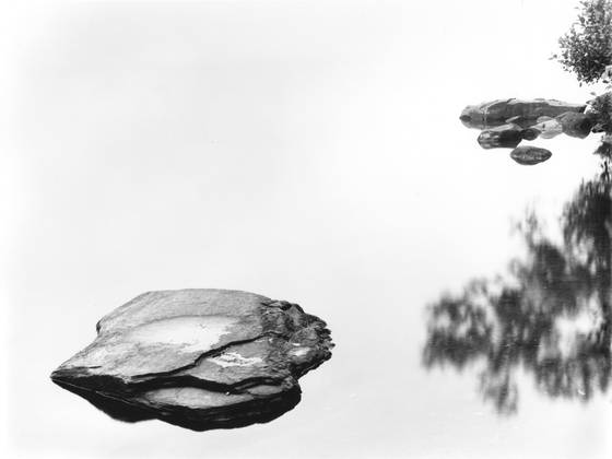 Mill_pond_dream