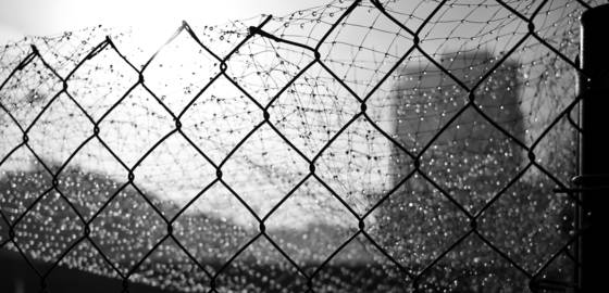 Fence