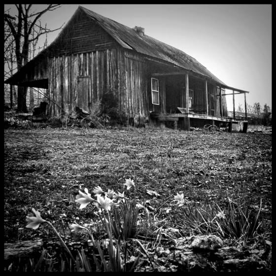 Another_spring