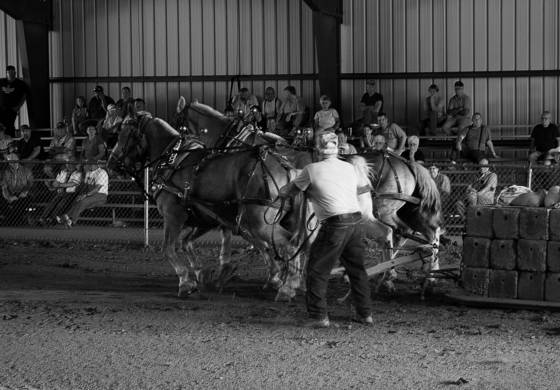 Horse_pull_1-_union_fair
