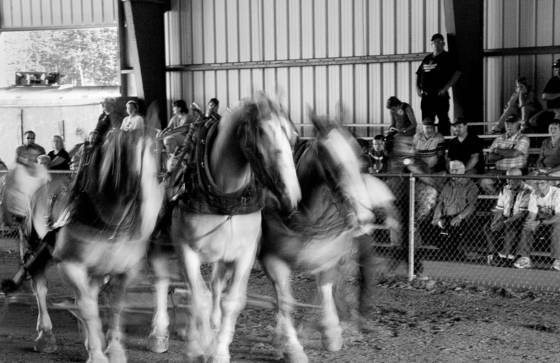 Horse_pull_2_-_union_fair