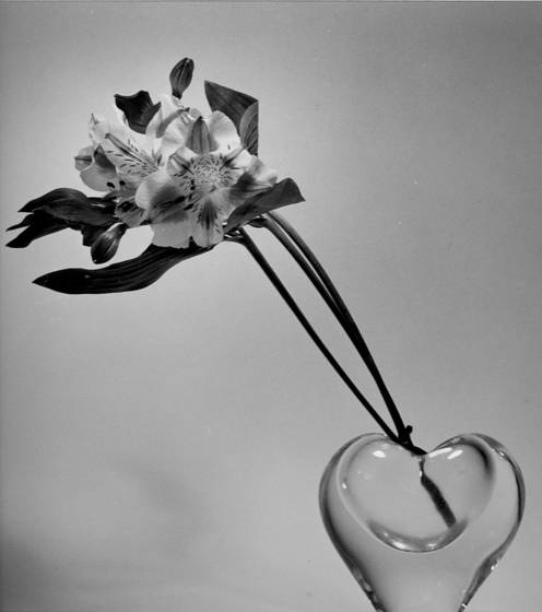 The_flower