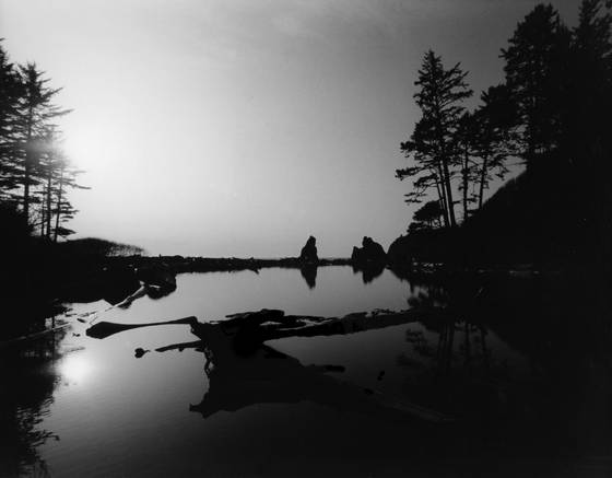 Untitled_6