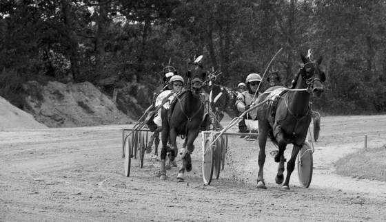 On_the_track_1_-_union_fair