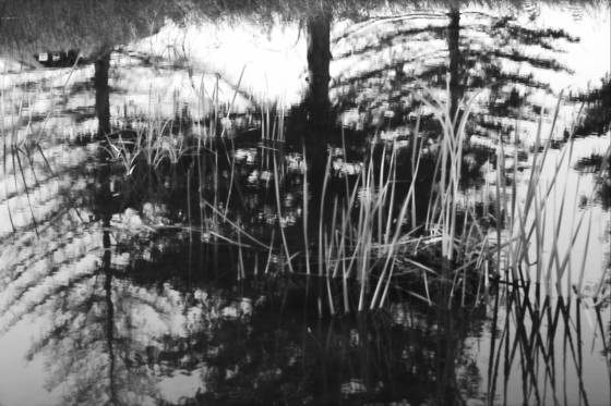 Water_mirage
