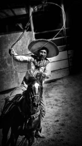 Untitled_2
