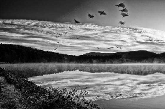 Cooper_lake__2