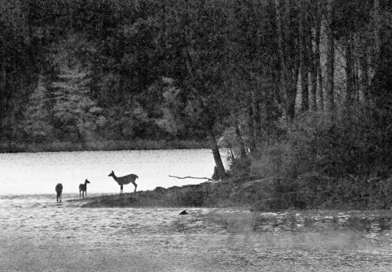 Cooper_lake__9
