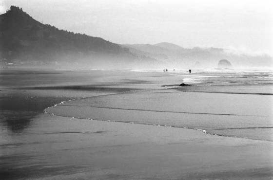 Beach_walkers