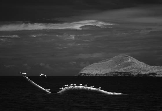 Landscape_in_montecristi