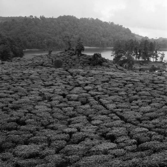 West_java_01