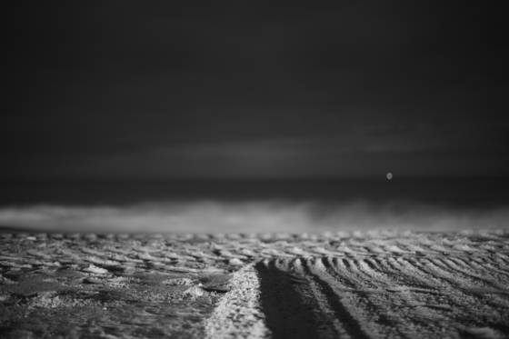Infinite_8