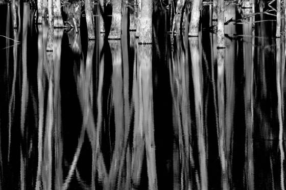 Reflection