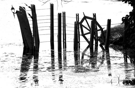 Boat_wheel