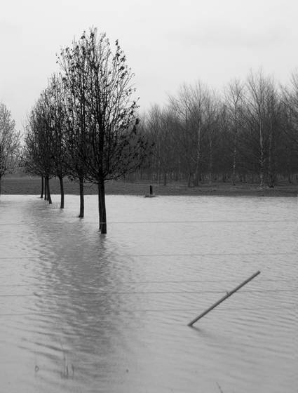 Spring_rains